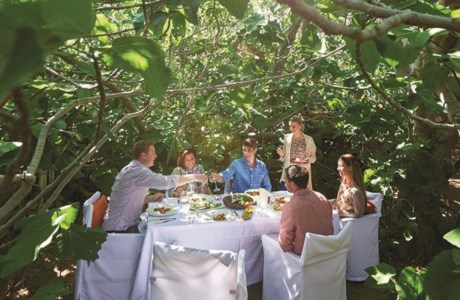 SA Regional Restuarants-Enchanted Fig Tree